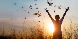 Macros Consulting lanza nuevo programa de Bienestar Emocional para empresas
